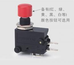 藍鳥RENEW RS-5GL 短柄微動開關(guān) 電工開關(guān)領(lǐng)域的可靠選擇